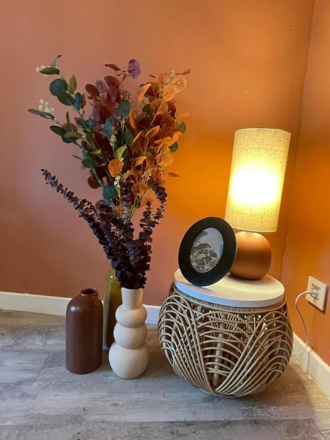Comme Un Air De Provence A Blois Apartment Ngoại thất bức ảnh
