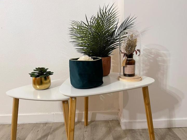 Comme Un Air De Provence A Blois Apartment Ngoại thất bức ảnh